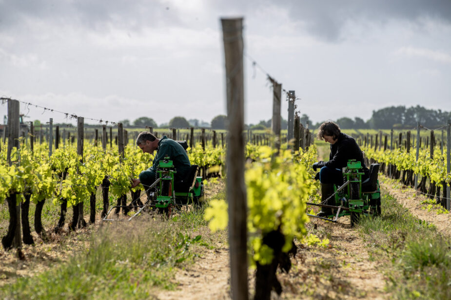 Crédits-Guillaume-Bonnaud—MSA-Gironde-1