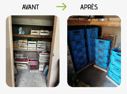 conservation en maraîchage