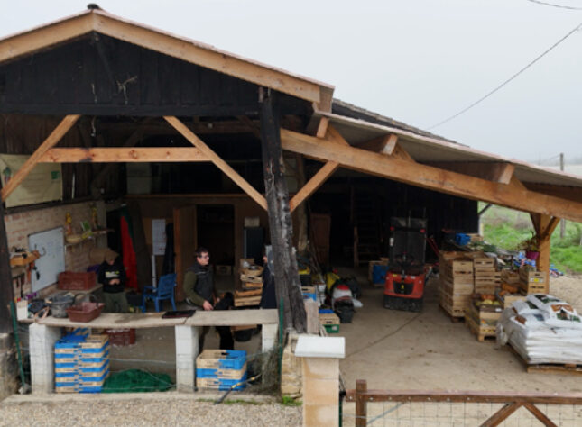 exploitation maraîchère stockage des légumes d'hiver