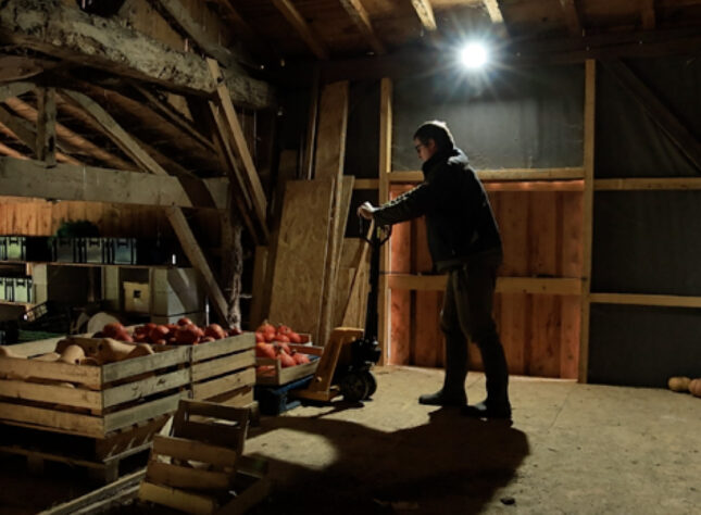 exploitation maraîchère stockage des légumes d'hiver