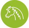 DUERP Hippique