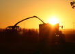 Machines agricoles travaillant au coucher du soleil pendant un épisode de forte chaleur en Nouvelle-Aquitaine, illustrant la prévention des risques pour les salariés.