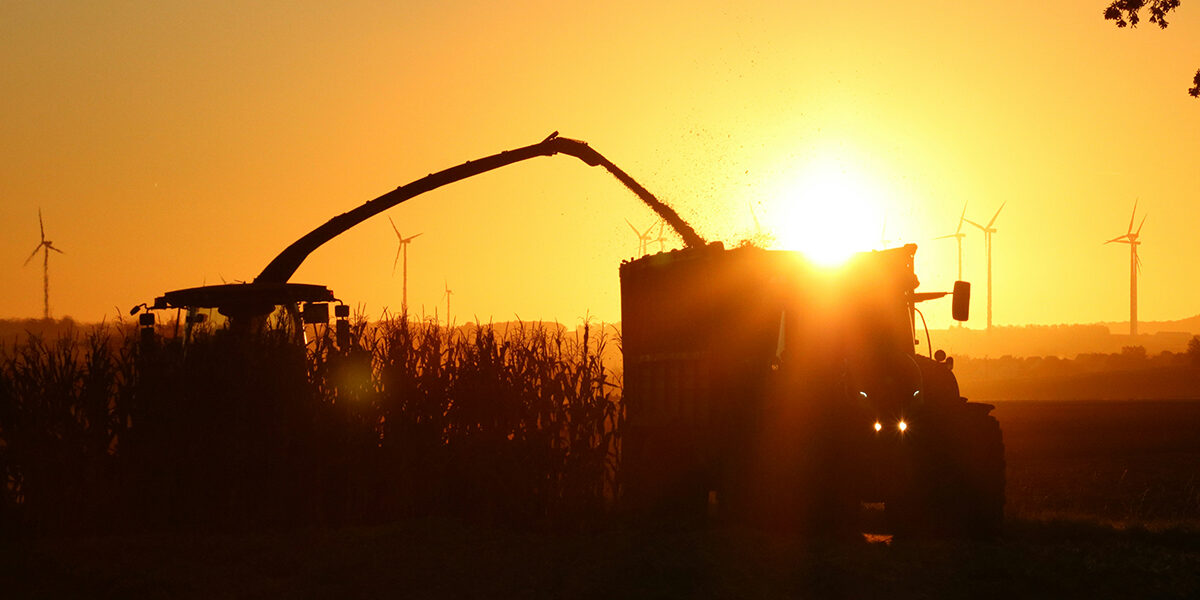 Travail agricole sous forte chaleur – CRPST Nouvelle-Aquitaine Machines agricoles travaillant au coucher du soleil pendant un épisode de forte chaleur en Nouvelle-Aquitaine, illustrant la prévention des risques pour les salariés.
